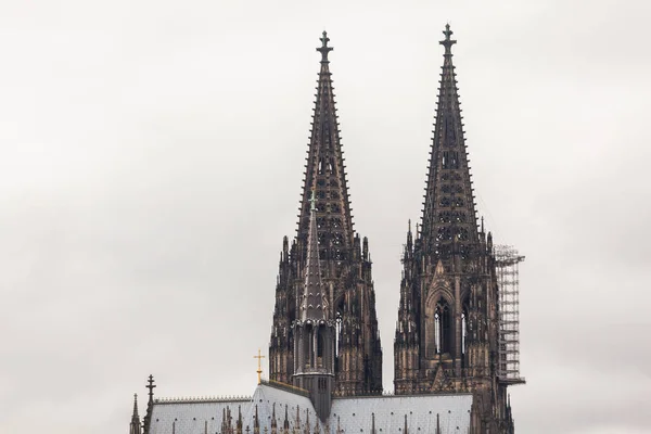 View of Koln cathedral in old town, Germany — Stock Photo, Image