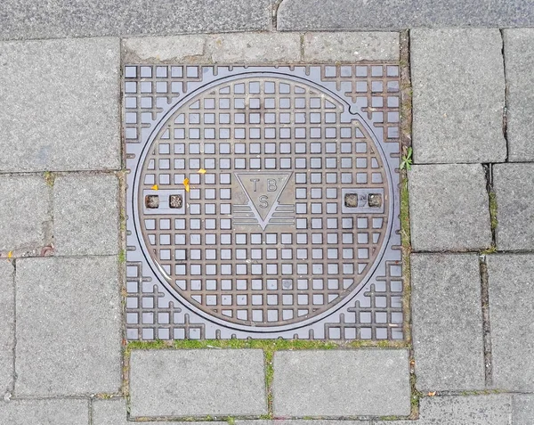 Couvercle de trou d'homme sur chaussée avec motifs, Amsterdam — Photo