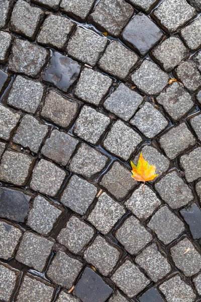 Brick, cobblestone road in holland — Stock Photo, Image