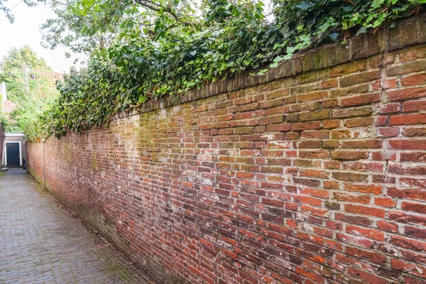 Muro de ladrillo rojo, Países Bajos — Foto de Stock