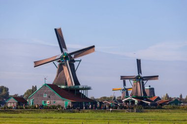 Traditional windmill in the green fields of Holland clipart