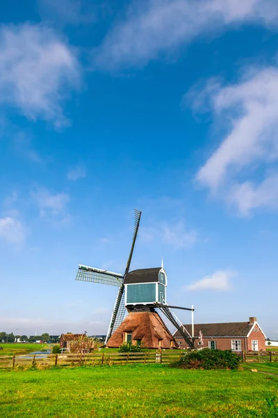 Традиционная ветряная мельница в зеленых полях Голландии — стоковое фото