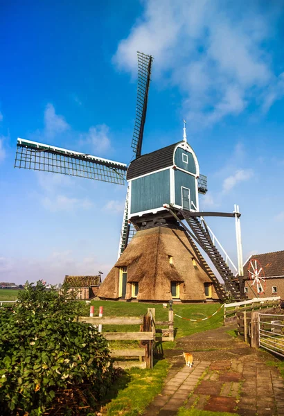 Традиционная ветряная мельница в зеленых полях Голландии — стоковое фото