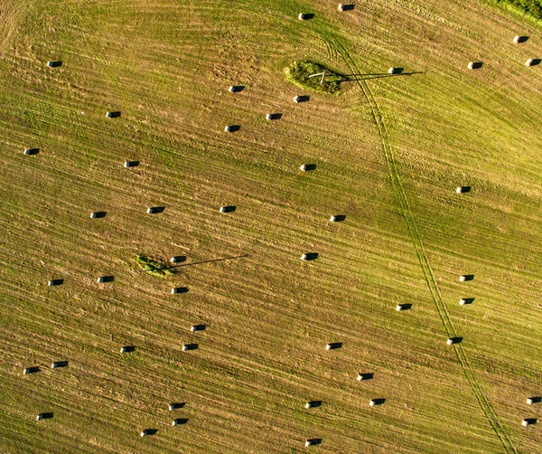 Вид с воздуха на тюки сена, лежащие на поле — стоковое фото