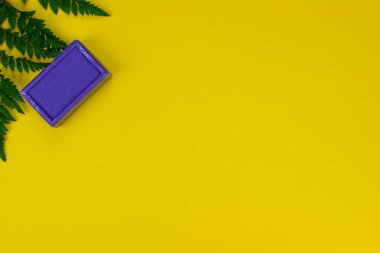 Sarı arka planda yeşil Asplenium yapraklı doğal Lavander sabunu. Organik ve biyolojik kavram. 