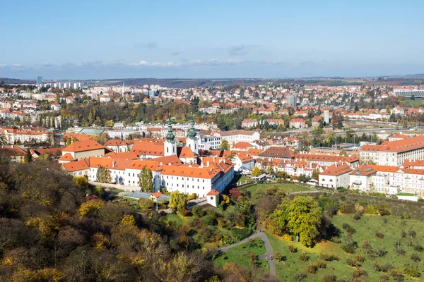 Havadan görünümü üzerinde leyleklerin sonbaharda City, Prague, Çek Cumhuriyeti