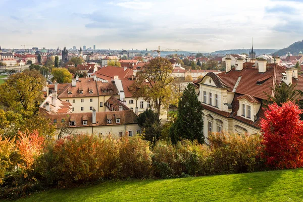 Şehir ve ağaçlar havadan görünümü | Prague, Çek Cumhuriyeti, Avrupa'nın sonbahar
