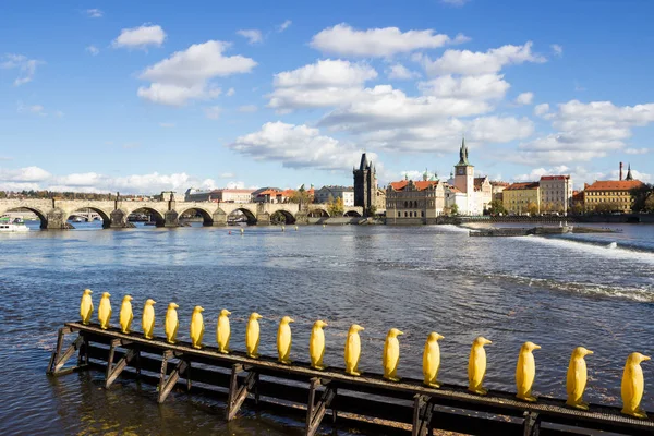Vltava Nehri üzerinde büyük görünüm | Prague, Çek Cumhuriyeti, Avrupa'nın sonbahar