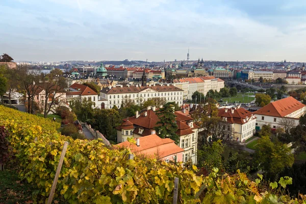 Vue Aérienne Sur Les Toits Rouges Ville Prague Automne Prague — Photo