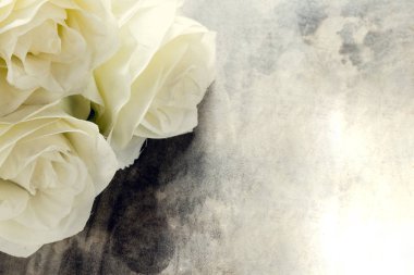 Gül ve bir kupa yönetim kurulu, Sevgililer günü arka plan, düğün 