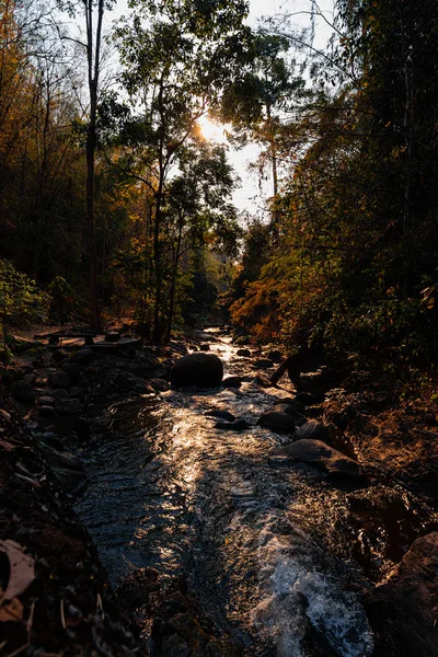 Jungle landschap met vloeiende turquoise water waterval op Deep — Stockfoto