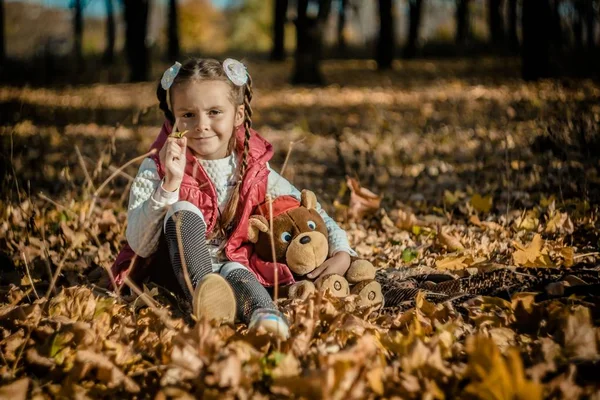 Mädchen Herbst Sitzt Mit Einem Bären Auf Den Blättern — Stockfoto
