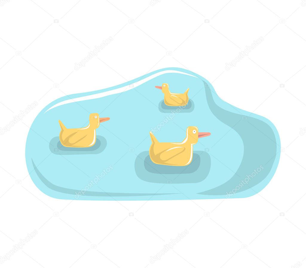 Floating ducks in a lake.