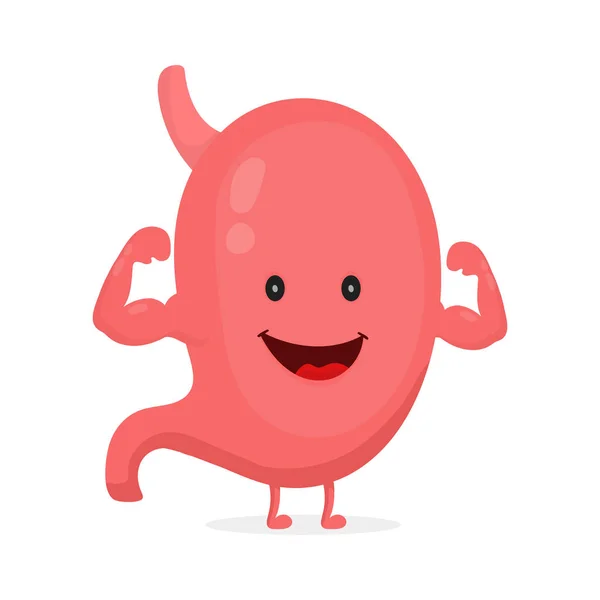 Strong healthy happy stomach character — Stock Vector