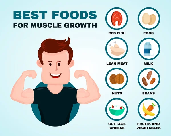 Los mejores alimentos para la infografía del crecimiento muscular — Vector de stock