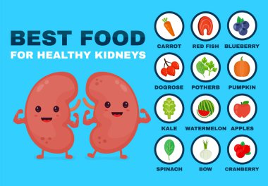 Güçlü böbrekler için en iyi yemek. Güçlü sağlıklı