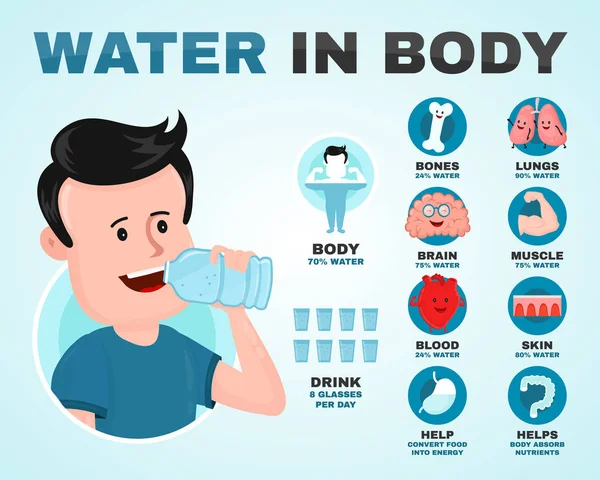 Voda v těle infografiku. Mladý muž — Stockový vektor