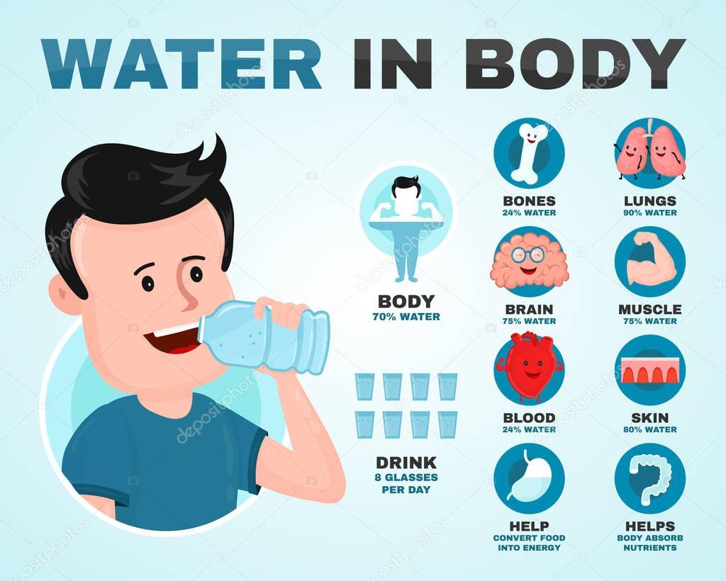Water in body infographic. Young man 