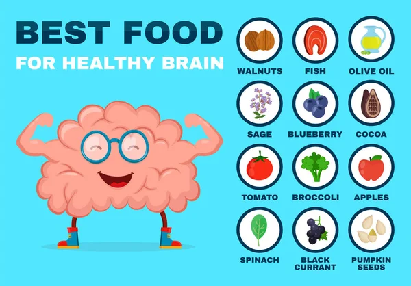 Лучшая еда для сильного мозга. Крепкое здоровье — стоковый вектор