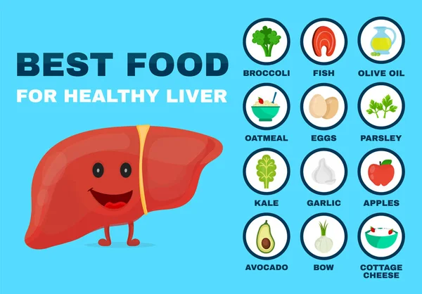 El mejor alimento para el hígado fuerte. Fuerte saludable — Vector de stock