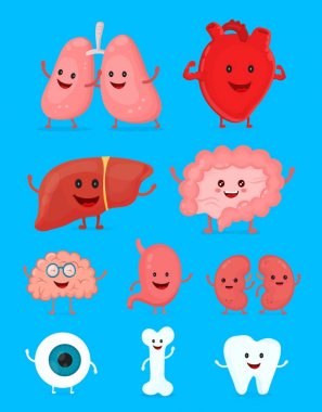 Mutlu insan sağlıklı güçlü organlarını kümesi gülümseyen şirin