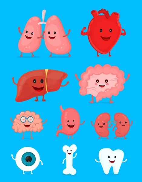 かわいい笑顔幸せな人間の健康的な強い臓器セット — ストックベクタ