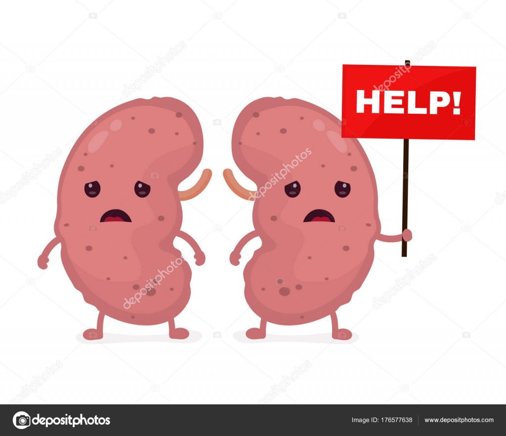 Kidney cartoon Vector Art Stock Images | Depositphotos