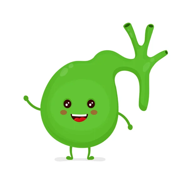 Strong healthy happy gallbladder character — Stock Vector