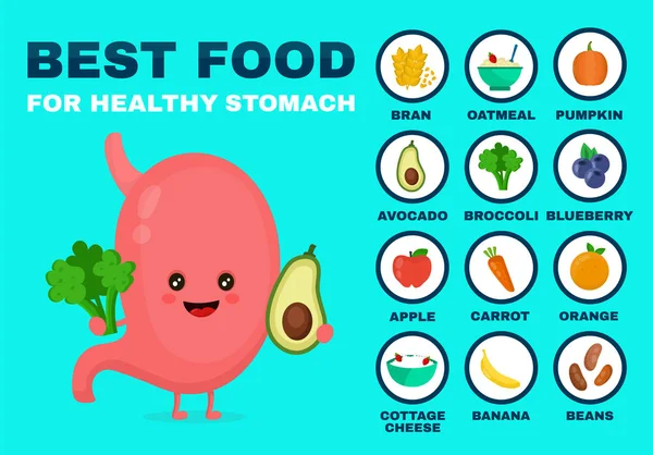 Best food for strong stomach.Strong — Stock Vector