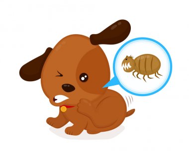 Kızgın kaşıntılı köpek pire kapalı çizikler