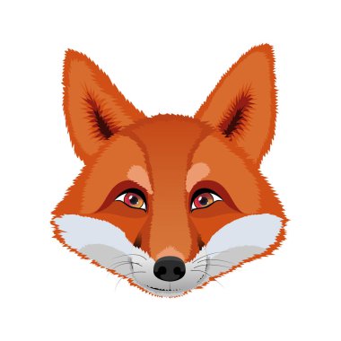 Bir tilki başkanı. Vektör çizim.