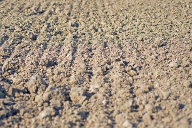 Zemin doku arka plan. Bereketli topraklar ekili. Toprak arka plan.