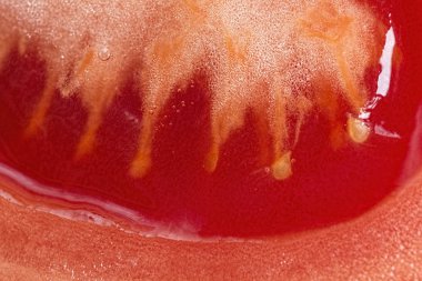 Domates dilim makro arka plan