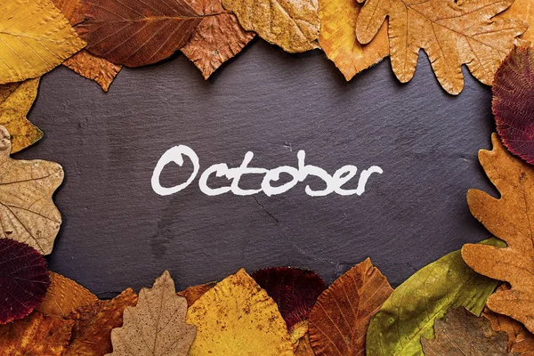 Herbstblätter rahmen auf dunklem Steingrund ein. Oktober-Konzept — Stockfoto