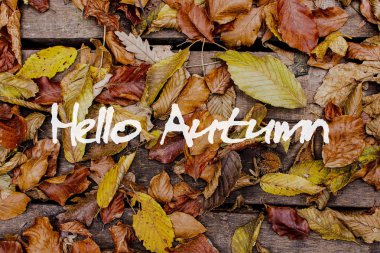 Sonbahar yaprakları ahşap arka plan üzerinde. Merhaba sonbahar konsepti duvar kağıdı.