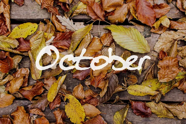 Herbstblätter auf hölzernem Hintergrund. Oktober Konzept Tapete. — Stockfoto