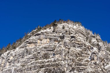 Dağ tepe mavi gökyüzü ve çam ormanı ile yan görünüm