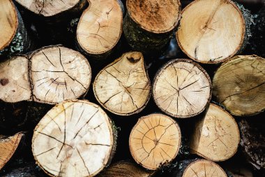 Ateş Odunları Arkaplanı. Kuru Ağaç Gövdeleri.