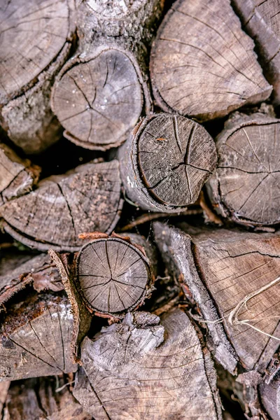 薪の丸太の背景。木の幹の乾燥. — ストック写真