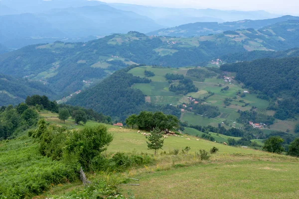 Гірський ландшафт і зелена лука з блакитним небом — стокове фото