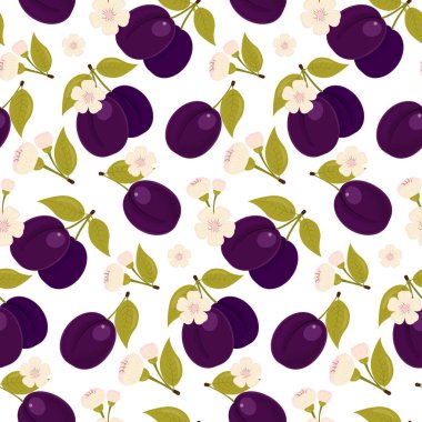 Olgun bir Erik. Erik çiçeği. Sorunsuz kumaş. İzole beyaz arka plan. Hisse senedi vektör.