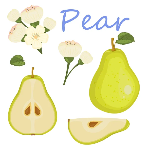 Fresh pear icon vector illustration. Green pear icon. Pear icon clipart. — Stock Vector