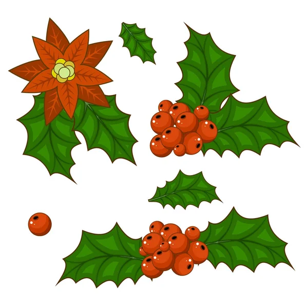 Jul järnek bär vector ställa isolerade från bakgrunden — Stock vektor