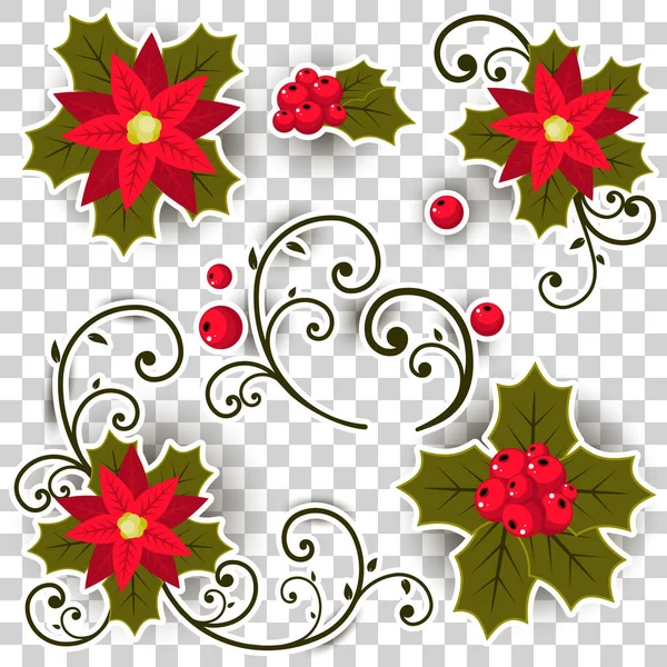 クリスマス ヒイラギ ベリーのベクトルを背景から分離設定 — ストックベクタ