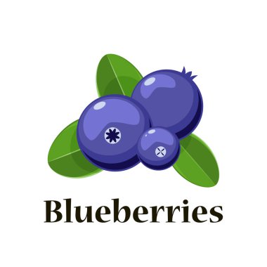 Vektör karikatür yaban mersini yaprakları ile. Beyaz arka plan üzerinde izole.