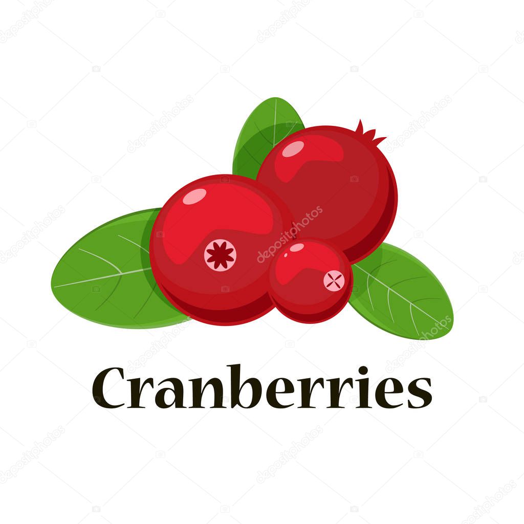 Cranberries isolated icon. Vector illustration for pattern, badge, label, textile