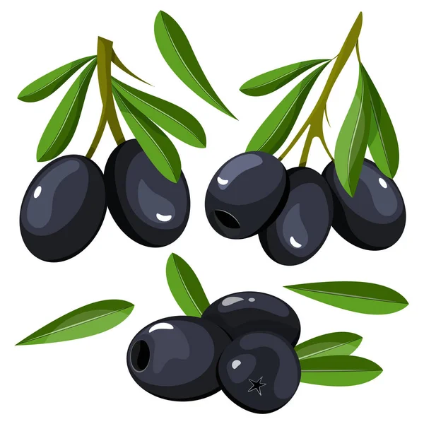 Hintergrund mit grünen und schwarzen Oliven. Vektorillustration. — Stockvektor