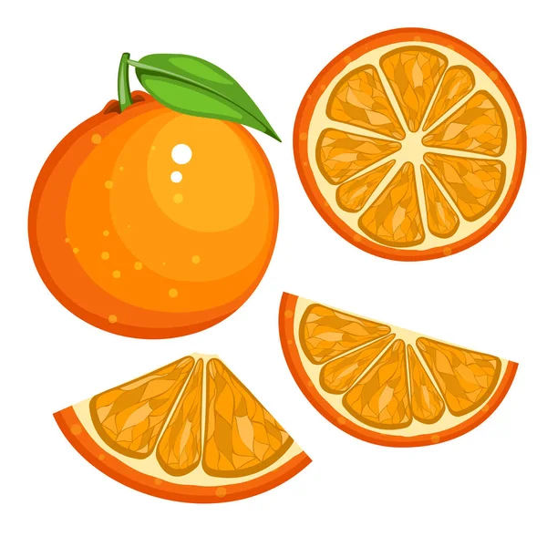 Laranja com folhas inteiras e fatias de laranjas. Ilustração vetorial de laranjas . — Vetor de Stock