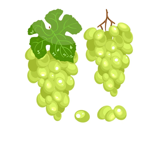 Vector bunch of green grapes on a white background. — Stock Vector