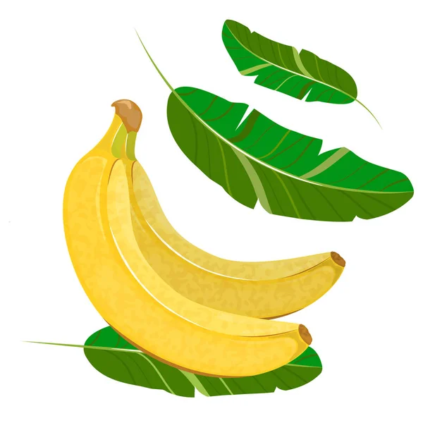 Un mucchio di banane isolate sul bianco. Vettore — Vettoriale Stock